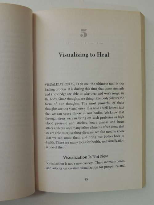 Healing Alternatives for Beginners, Whole Body Approach to Health and Well-Being - Kay Henrion