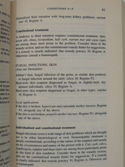 A Guide to Homoeopathic Remedies - The Complete Modern Handbook for Home Use - Paul Houghton