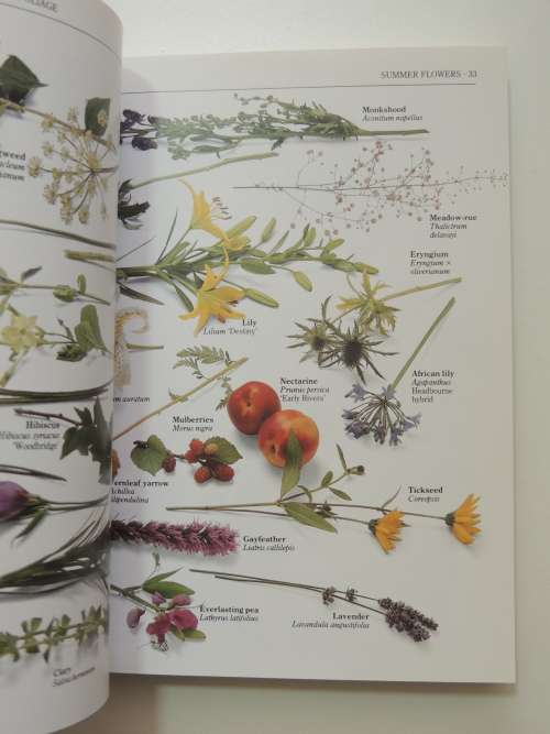 Flower Arranging - Pocket Encyclopedia - Ed. Malcolm Hillier