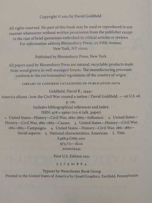 America Aflame How The Civil War Created A Nation - David Goldfield
