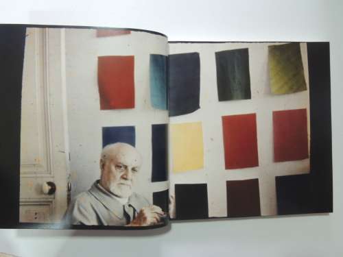Henri Matisse - Rhythm and Meaning - Federico Freschi (Ed.)