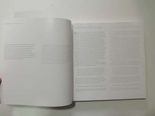 Henri Matisse - Rhythm and Meaning - Federico Freschi (Ed.)