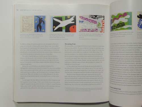 Henri Matisse - Rhythm and Meaning - Federico Freschi (Ed.)