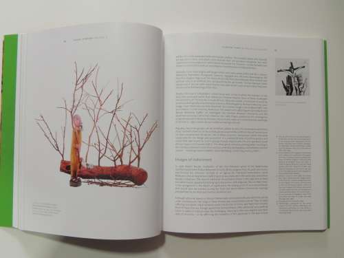 Visual Century: South African Art in Context (Volume 3, 1973-1992)- edited by Mario Pissarra.