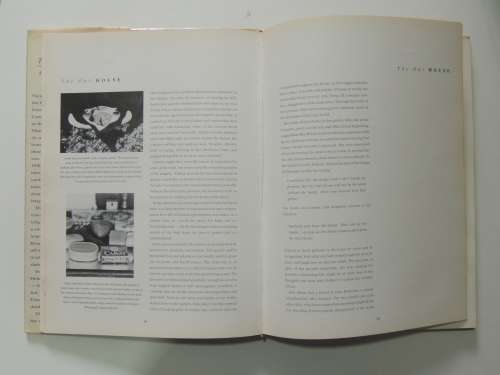 The Owl House: First Edition  - Anne Emslie