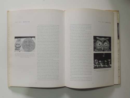 The Owl House: First Edition  - Anne Emslie