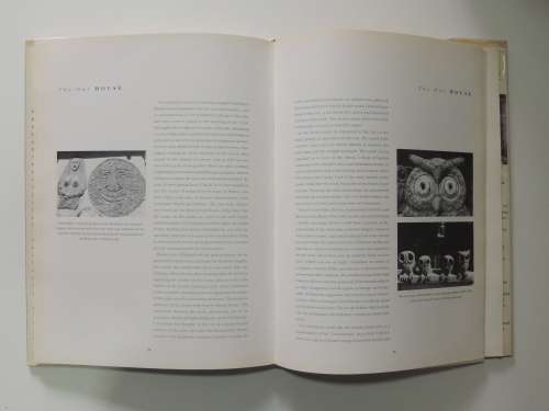 The Owl House: First Edition  - Anne Emslie