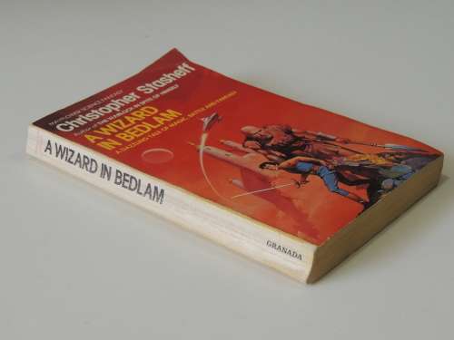 A Wizard in Bedlam - Christopher Stasheff