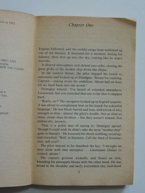 A Wizard in Bedlam - Christopher Stasheff