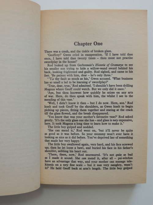 The Warlock Enlarged - Christopher Stasheff