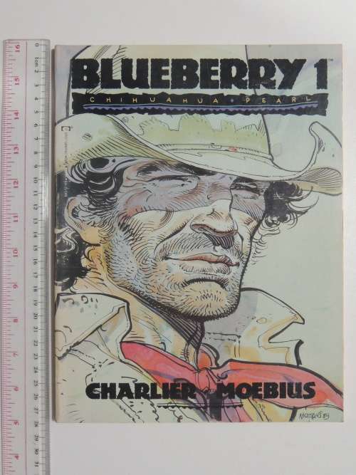 The Bluberry Graphic Novel Series Books 1 - 5 - Charlier and Moebius