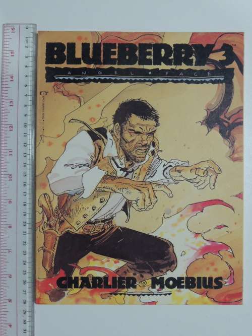The Bluberry Graphic Novel Series Books 1 - 5 - Charlier and Moebius