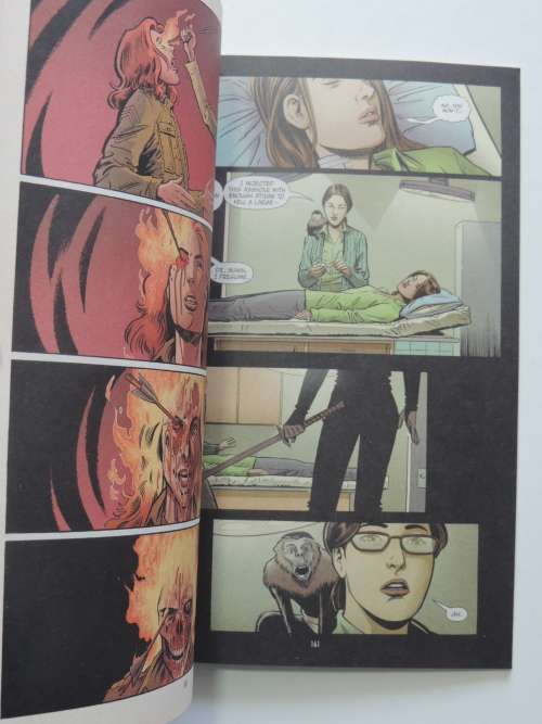 Vertigo: The Last Man Book 5 -  Ring Of Truth - Brian K. Vaughan