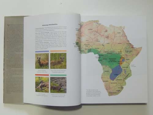 Hunting the Spiral Horns Sitatunga The Sly, Shy, Secretive one - Ed. Peter Flack