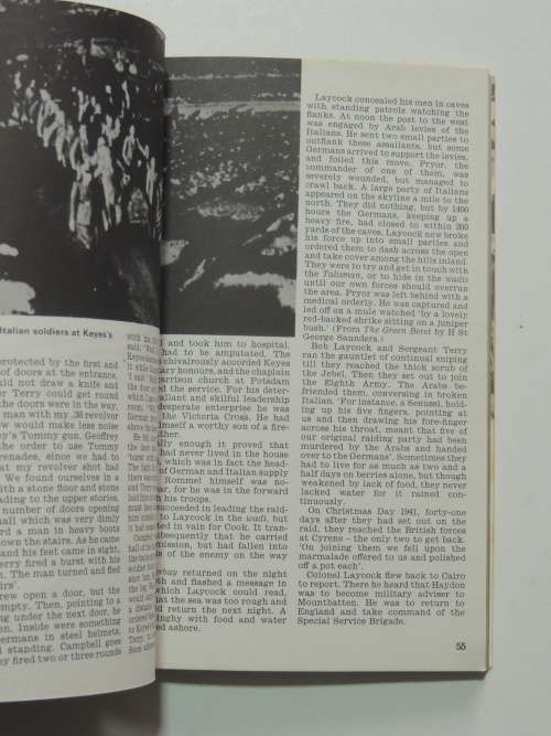 Commando - The Pan/Ballantine Illustrated History of WW2 - Weapons Book - Peter Young
