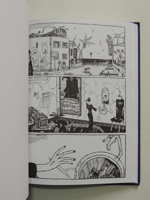Salem Brownstone: All Along the Watchtowers - John Harris Dunning, Nikhil Singh -Inscribed by Author