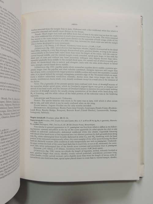 The Butterflies of Southern Africa, Part IV - G Van Son
