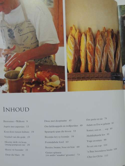 Somerkos in Provence - Marita van der Vyfer