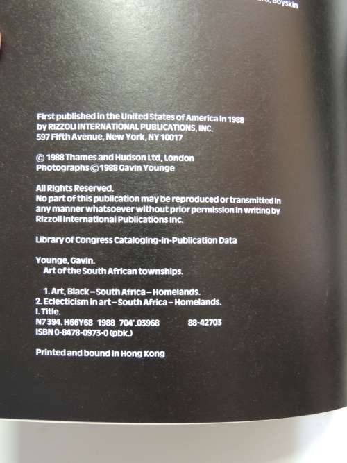 Art of the South African Townships - Gavin Younge