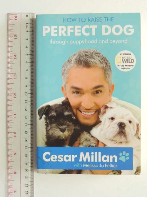 How To Raise The Perfect dog Through Puppyhood and Beyond - Cesar Millan