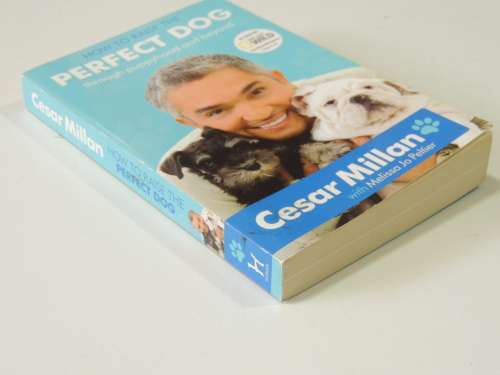 How To Raise The Perfect dog Through Puppyhood and Beyond - Cesar Millan