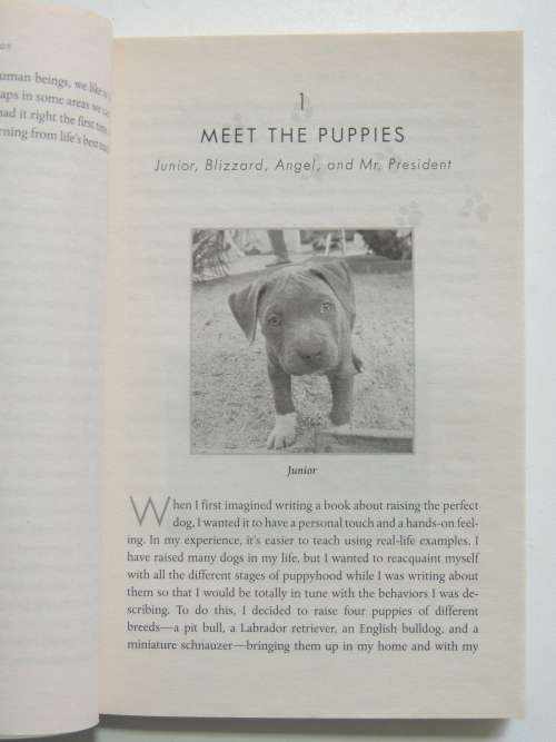 How To Raise The Perfect dog Through Puppyhood and Beyond - Cesar Millan