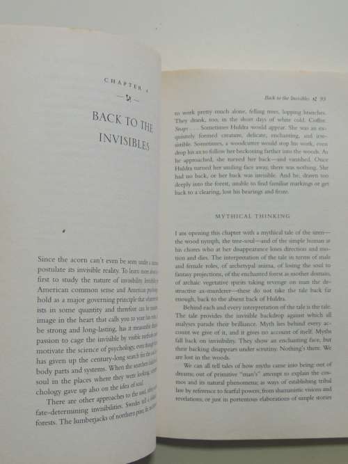 The Soul`s Code - In Search of Character and Calling- James Hillman