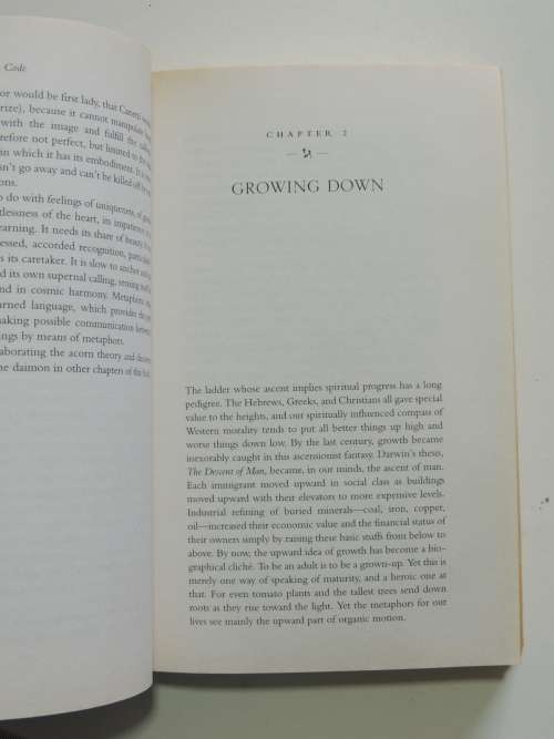 The Soul`s Code - In Search of Character and Calling- James Hillman