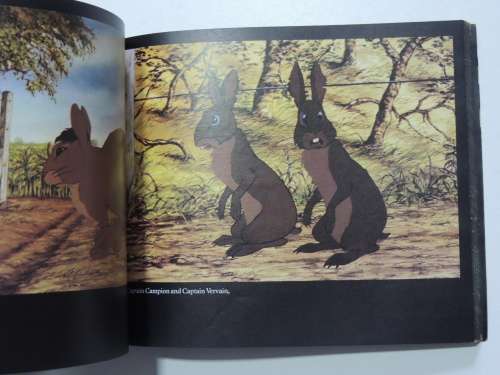 The Watership Down - Film Picture Book With Linking Text by Richard Adams