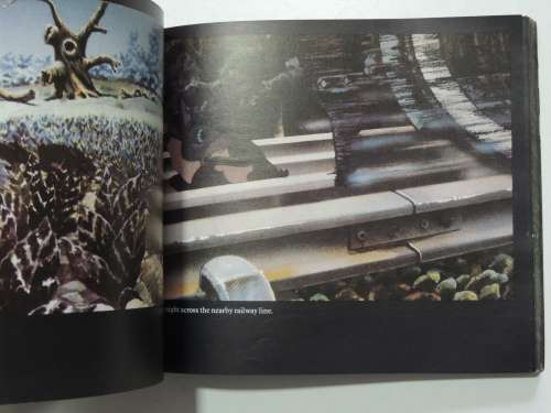 The Watership Down - Film Picture Book With Linking Text by Richard Adams