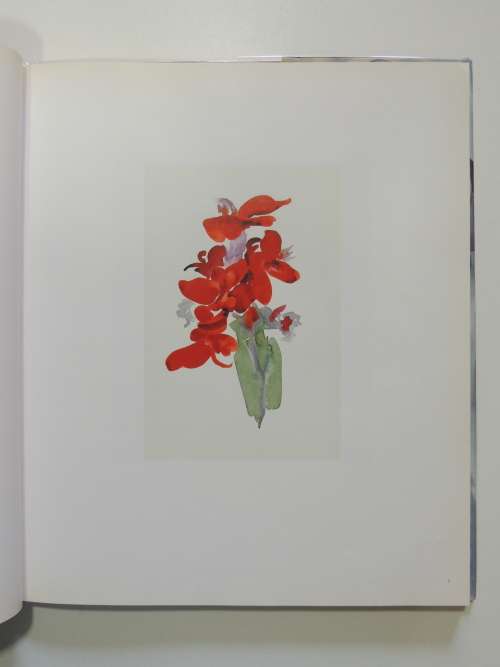 One Hundred Flowers - Georgia O`KeeffeEd Nicholas Callaway