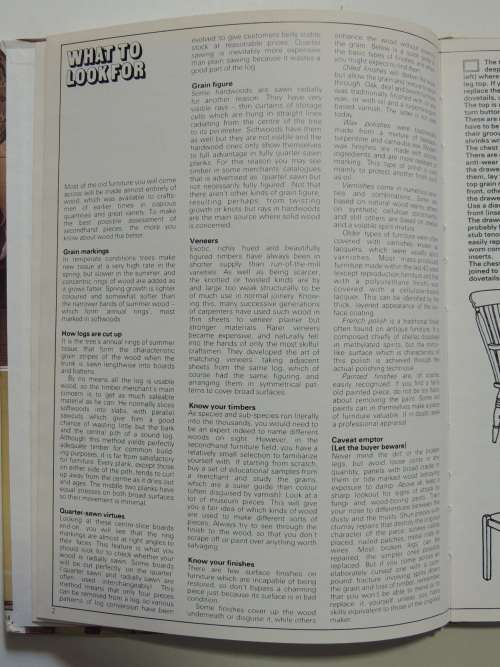 Second Hand Bargains Made New - Staining, Polishing, Upholstery, and Mending China - David Fisher