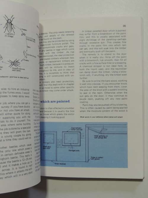 Home Repair and Maintenance - Tony Wilkens