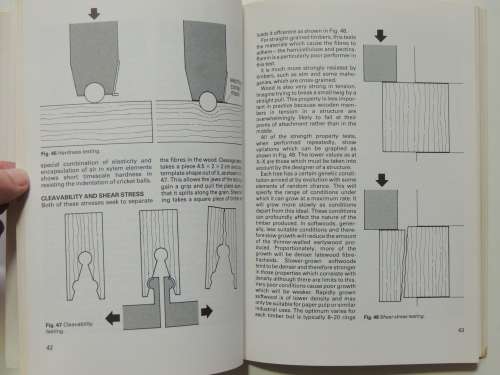 Woodworking Basics 3 - Timber -Rik Middleton