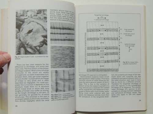 Woodworking Basics 3 - Timber -Rik Middleton