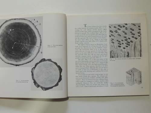 Working Green Wood With PEG, Simple Inexpensive New Process for Seasoning Wood - Patrick Spielman