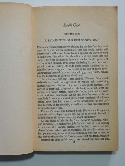 An Age - Brian Aldiss