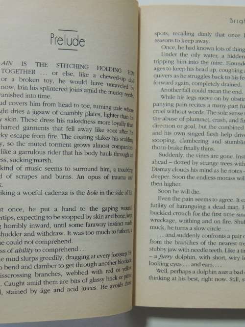 Uplift Series: Brightness Reef, Infinity`s Shore, Heaven`s Reach - 3 Volumes - David Brin