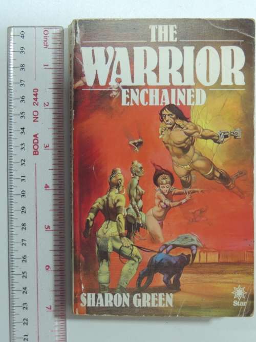 The Warrior EnchantedSharon Green