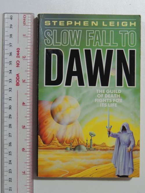 Slow Fall to Dawn - Stephen Leigh