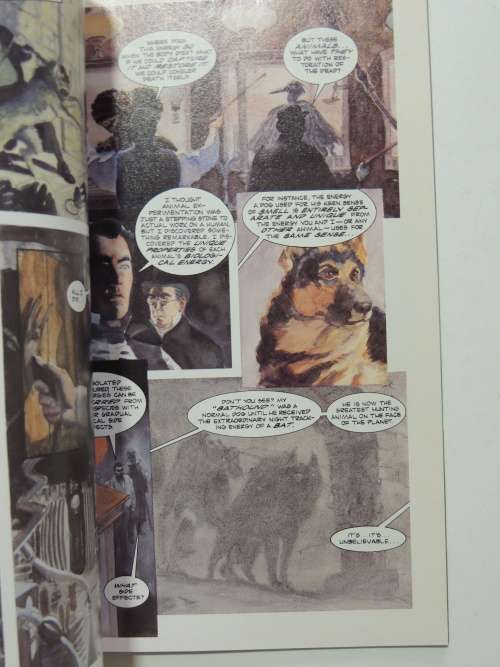 Batman  Castle Of The Bat- Jack C. Harris & Bo Hampton