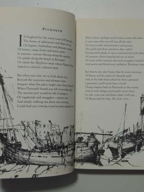 The Voyage of The Arctic Term - Hugh Montgomery