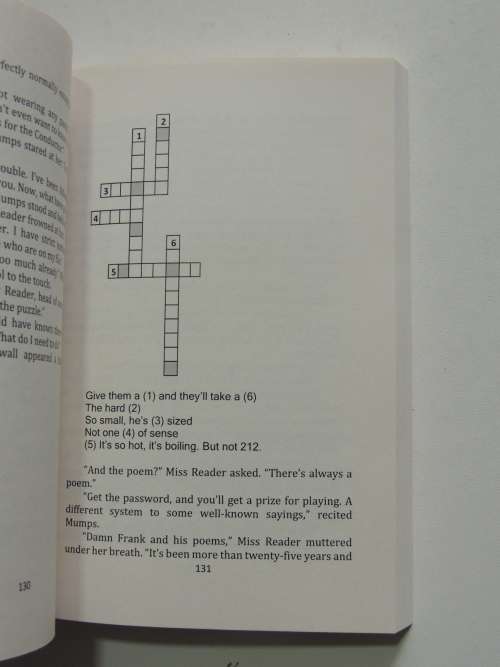 Puzzle Mansion - The thrilling conclusion to the Puzzle train series - Book Five - Richard J Edwards