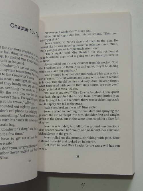 Puzzle Mansion - The thrilling conclusion to the Puzzle train series - Book Five - Richard J Edwards