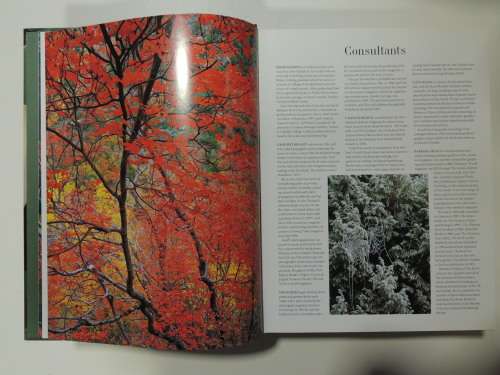 FLORA`S Trees and Shrubs - Illustrated A-Z of Over 8500 PlantsChief Consultant Tony Rodd