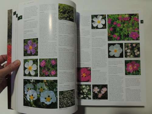 FLORA`S Trees and Shrubs - Illustrated A-Z of Over 8500 PlantsChief Consultant Tony Rodd