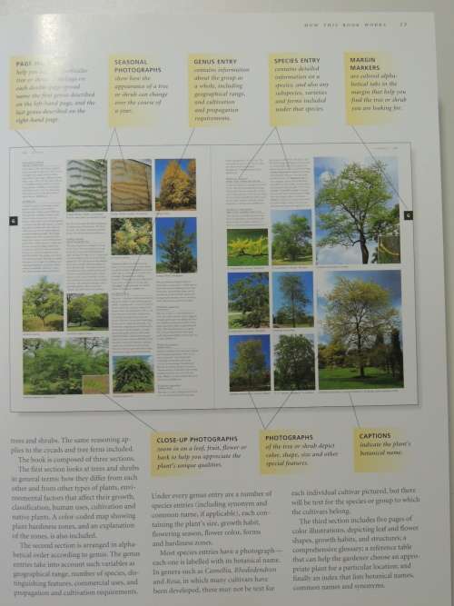 FLORA`S Trees and Shrubs - Illustrated A-Z of Over 8500 PlantsChief Consultant Tony Rodd