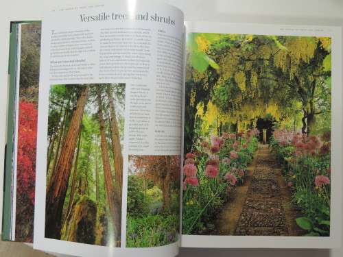 FLORA`S Trees and Shrubs - Illustrated A-Z of Over 8500 PlantsChief Consultant Tony Rodd