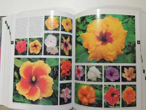 FLORA`S Trees and Shrubs - Illustrated A-Z of Over 8500 PlantsChief Consultant Tony Rodd