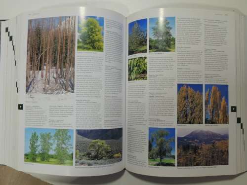 FLORA`S Trees and Shrubs - Illustrated A-Z of Over 8500 PlantsChief Consultant Tony Rodd